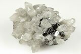 Gemmy Cassiterite On Quartz Crystals - Viloco Mine, Bolivia #192164-1